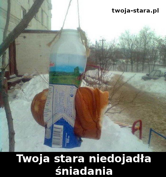 twoja-stara-0000188689