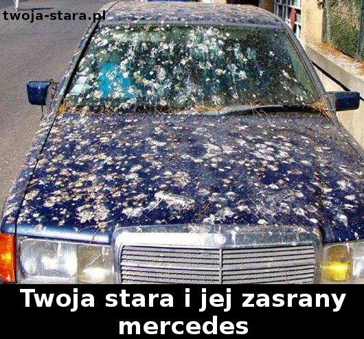 twoja-stara-0000188825